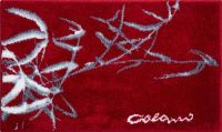 Colani 23